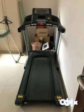 Dog 2024 treadmill olx