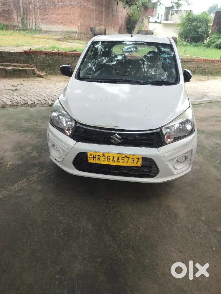 Maruti Suzuki Celerio 2019 First Owner