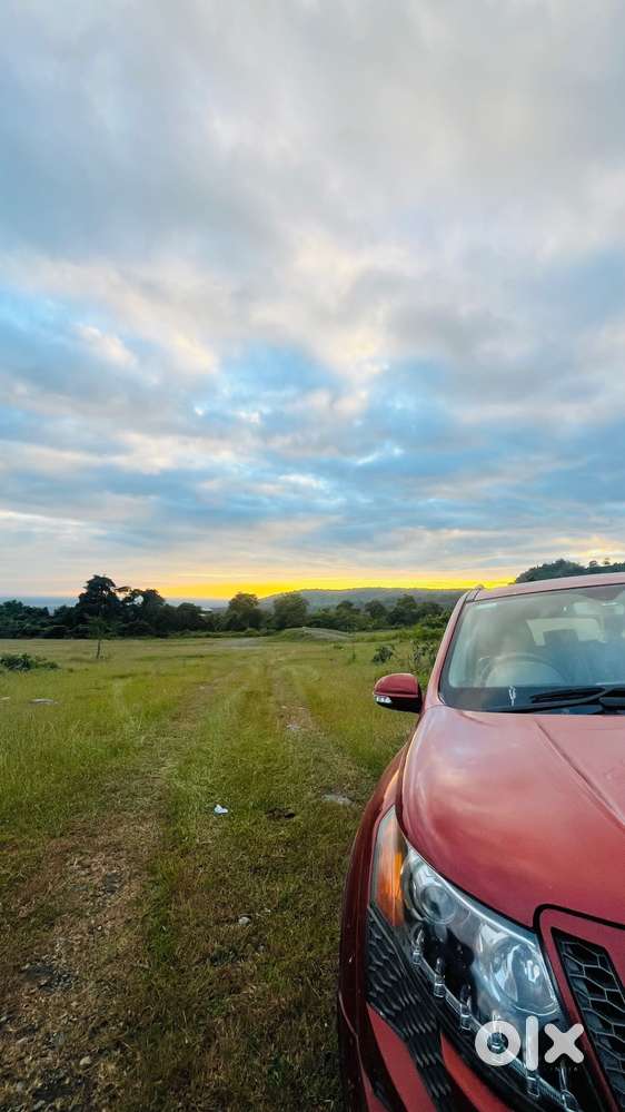 Car At Mint Condition