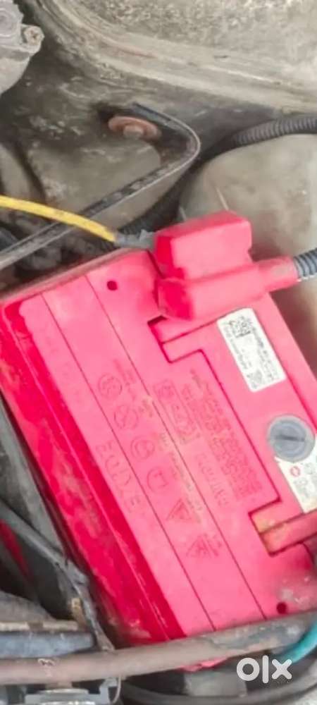 Maruti Suzuki 800 2009