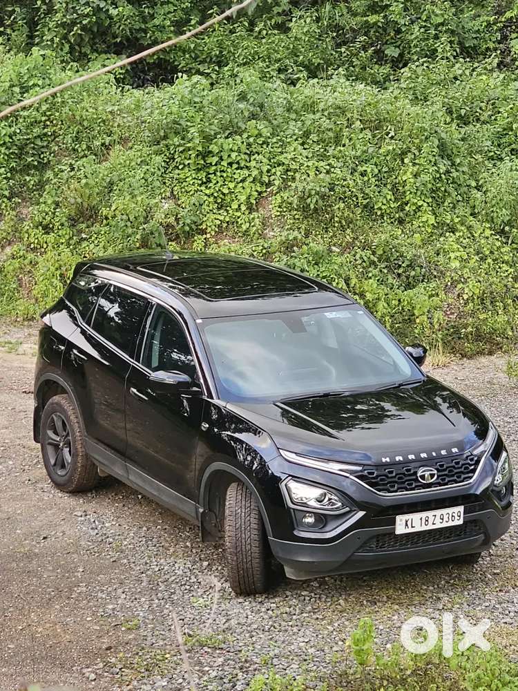 Harrier Xt +
