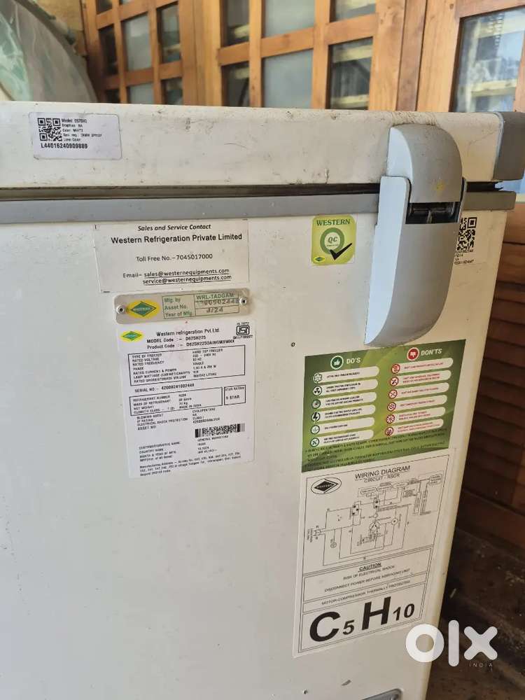 Western Deep freezer
