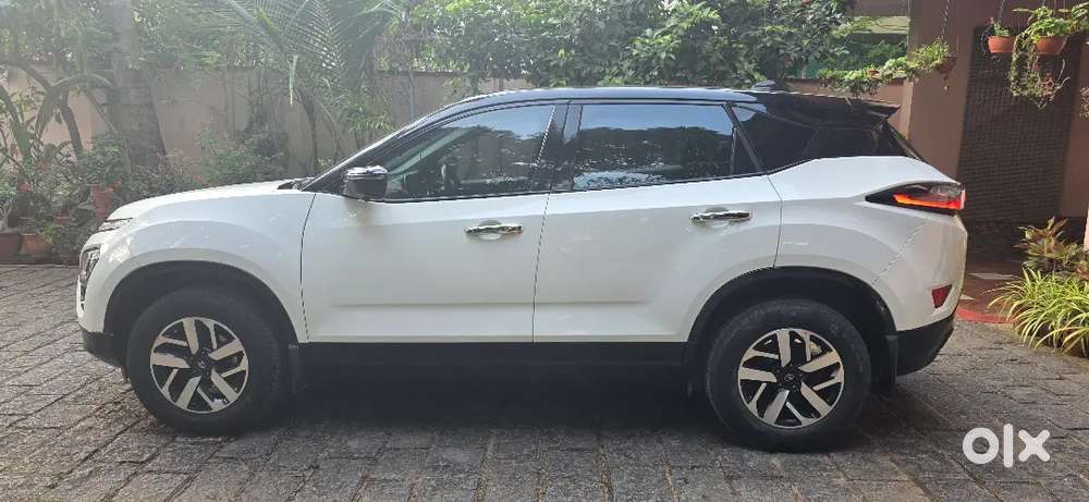 Stage 1+ Tuned Harrier In Mint Condition