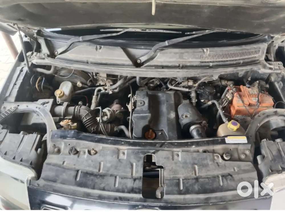 New Condition Koi Kami Nhi