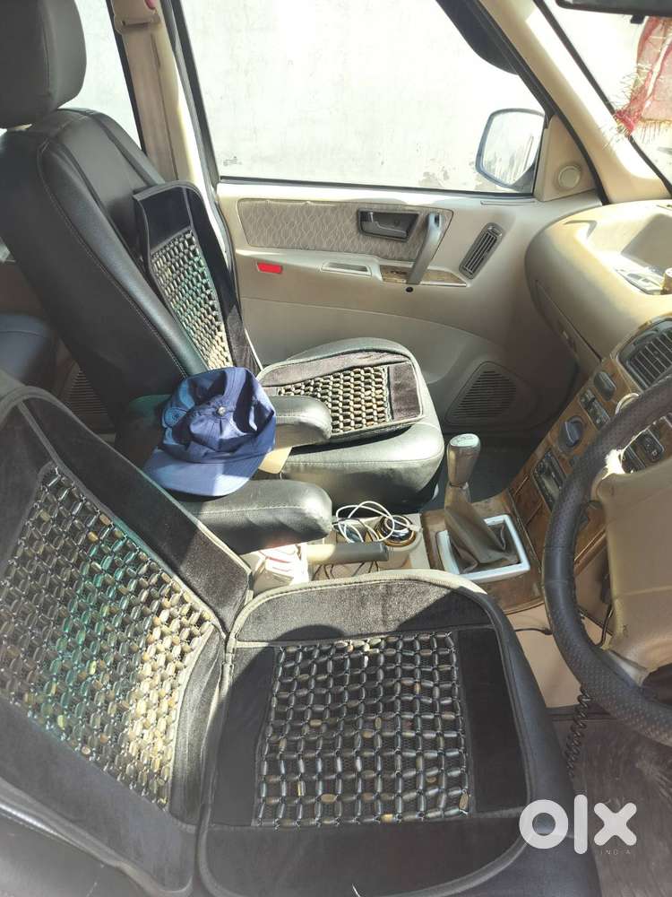 Tata Safari Decor