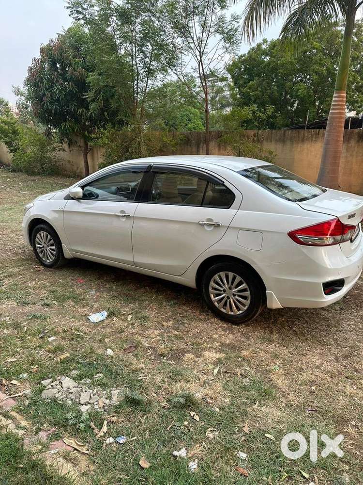 Maruti Suzuki Ciaz Zxi