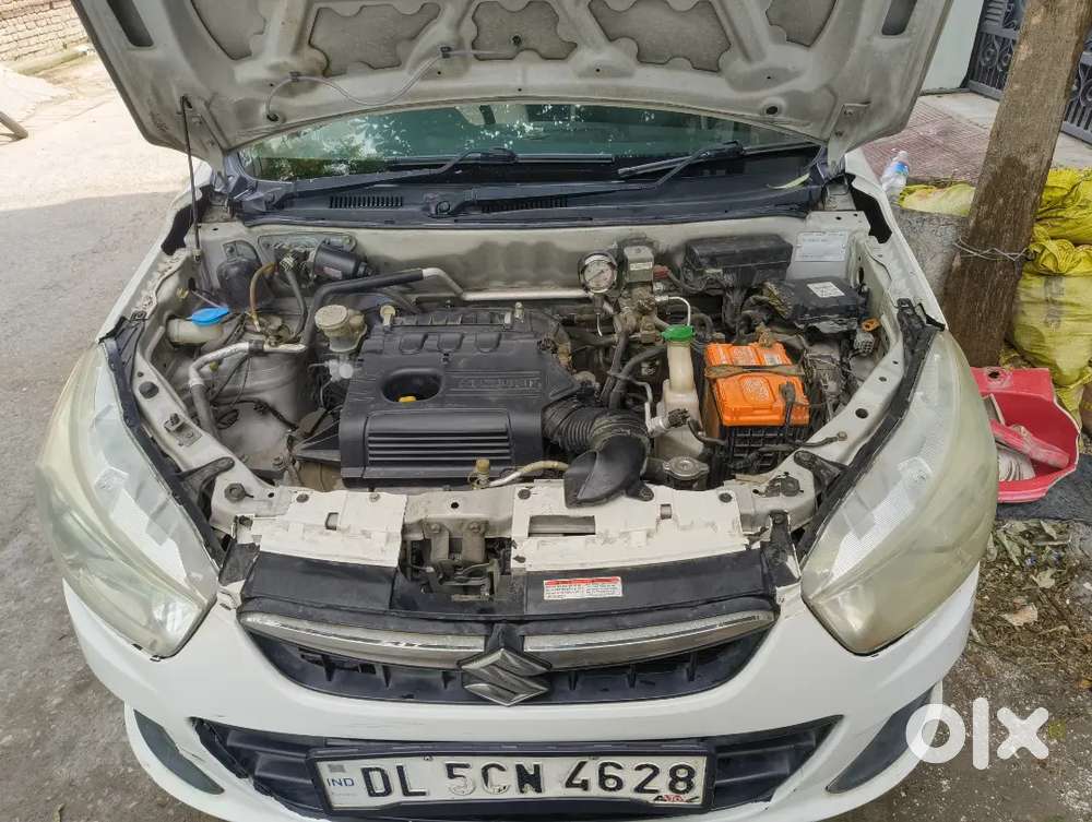 Alto K10 Company Fitted Green Cng