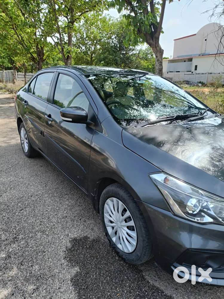 Maruti Suzuki Sigma 2024 Car