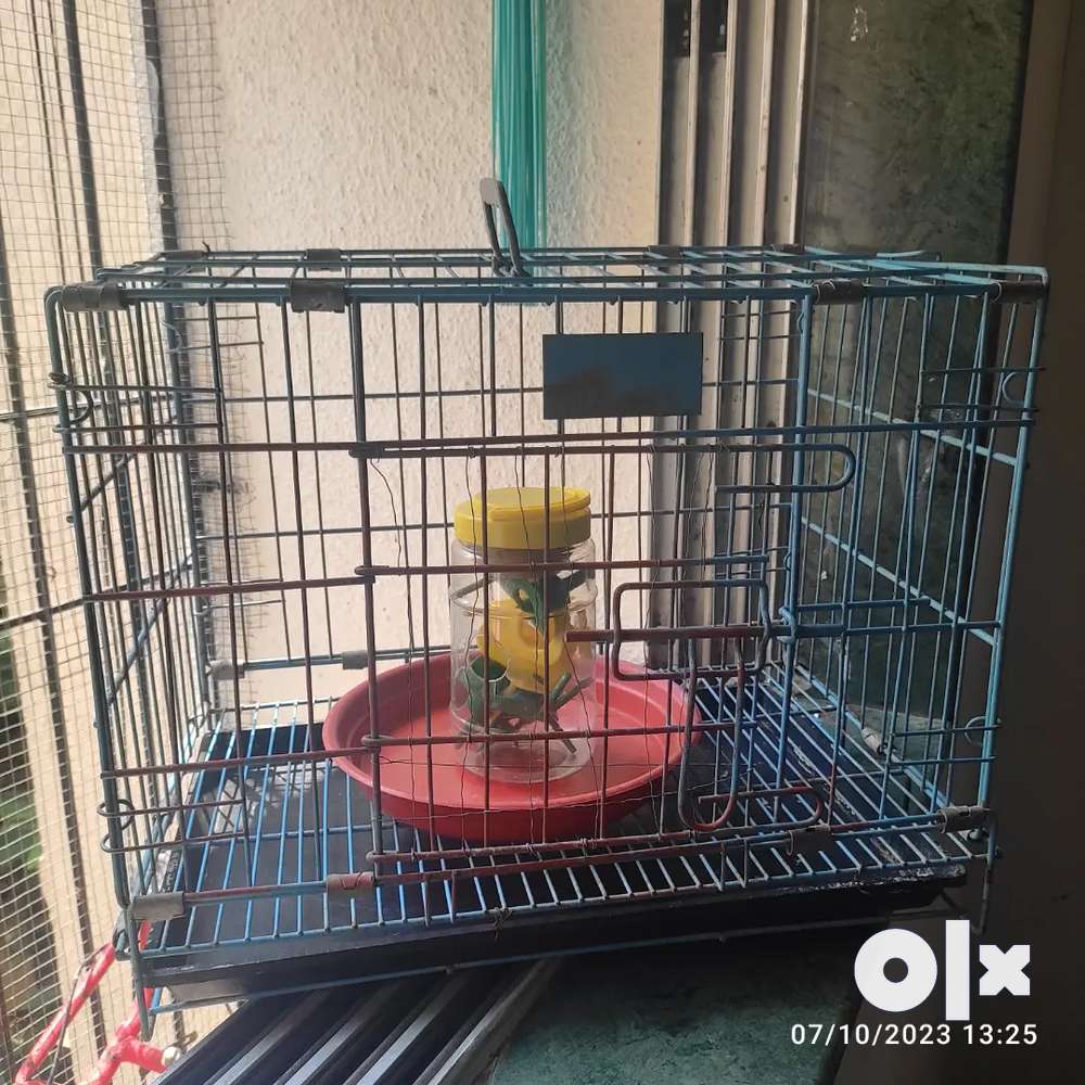 Cat cage outlet olx