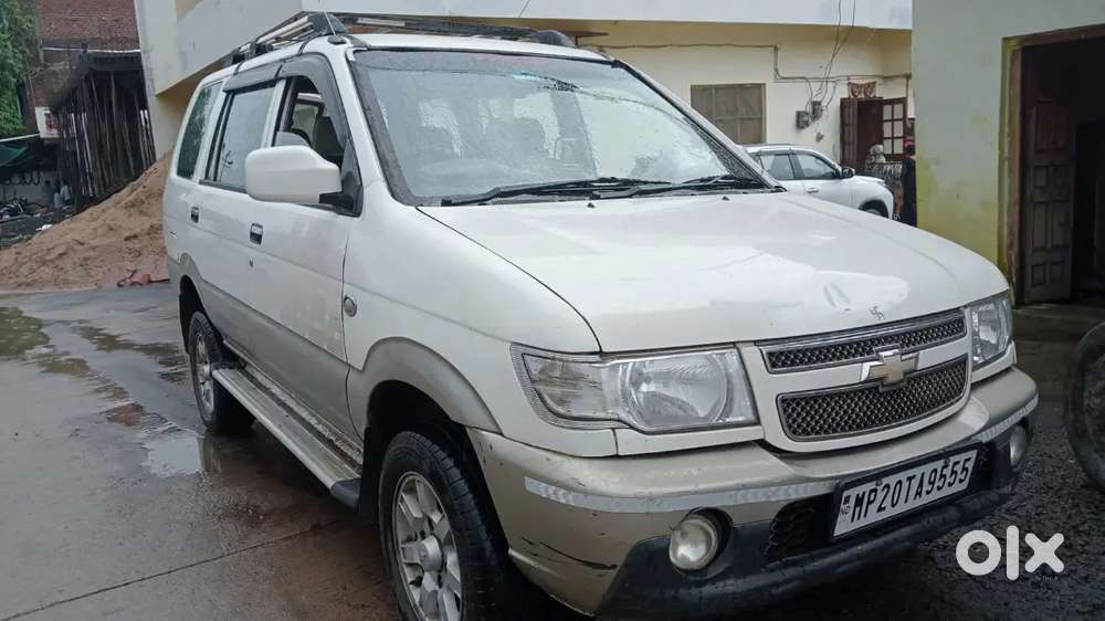 Fresh Condition