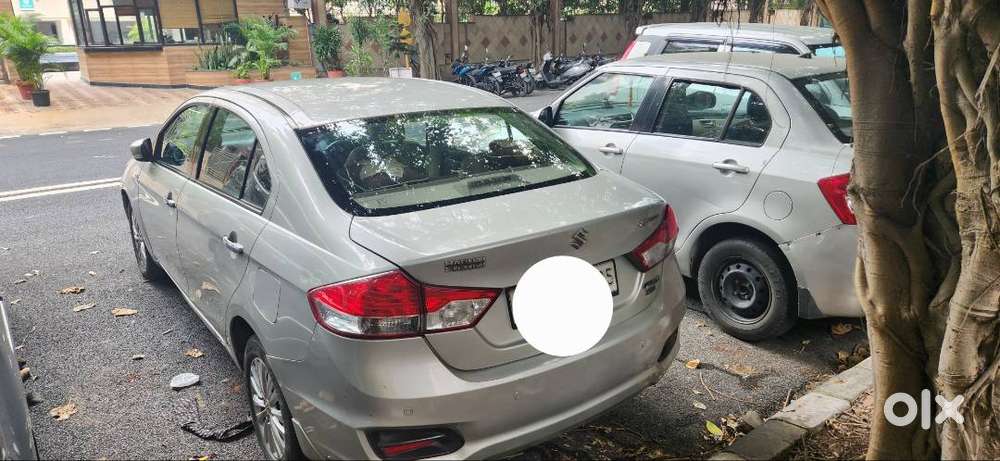 Maruti Suzuki Ciaz 2015 Diesel Dl