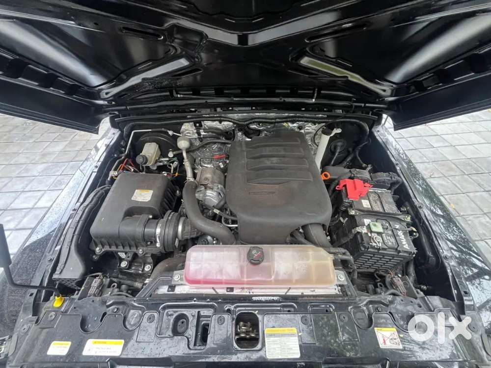 Mahindra Thar Roxx 2025 Petrol Well Maintained