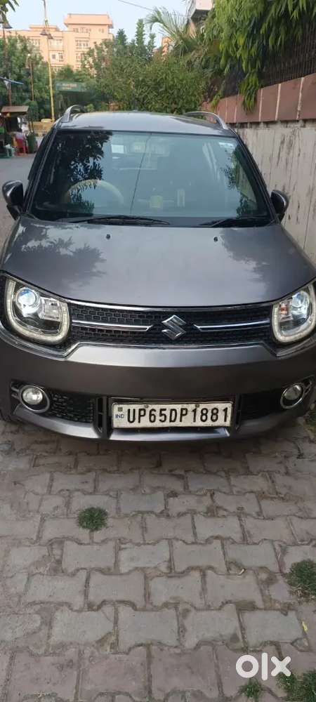 Maruti Suzuki Ignis 2019 Petrol 51381 Km Driven