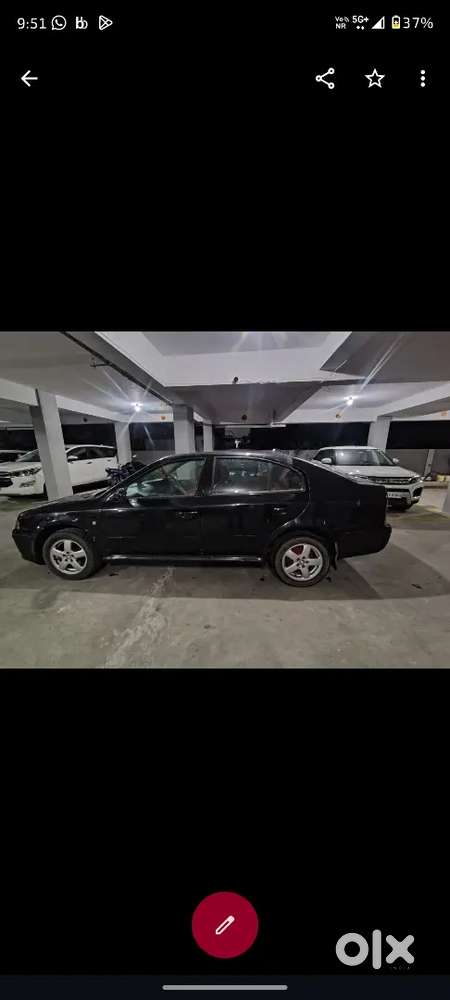 Skoda Octavia 2029 Validity