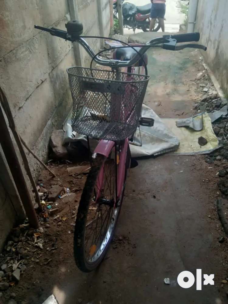 Lady bird best sale cycle in olx