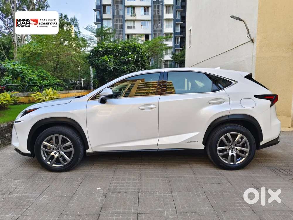 Lexus Nx, 2020, Petrol