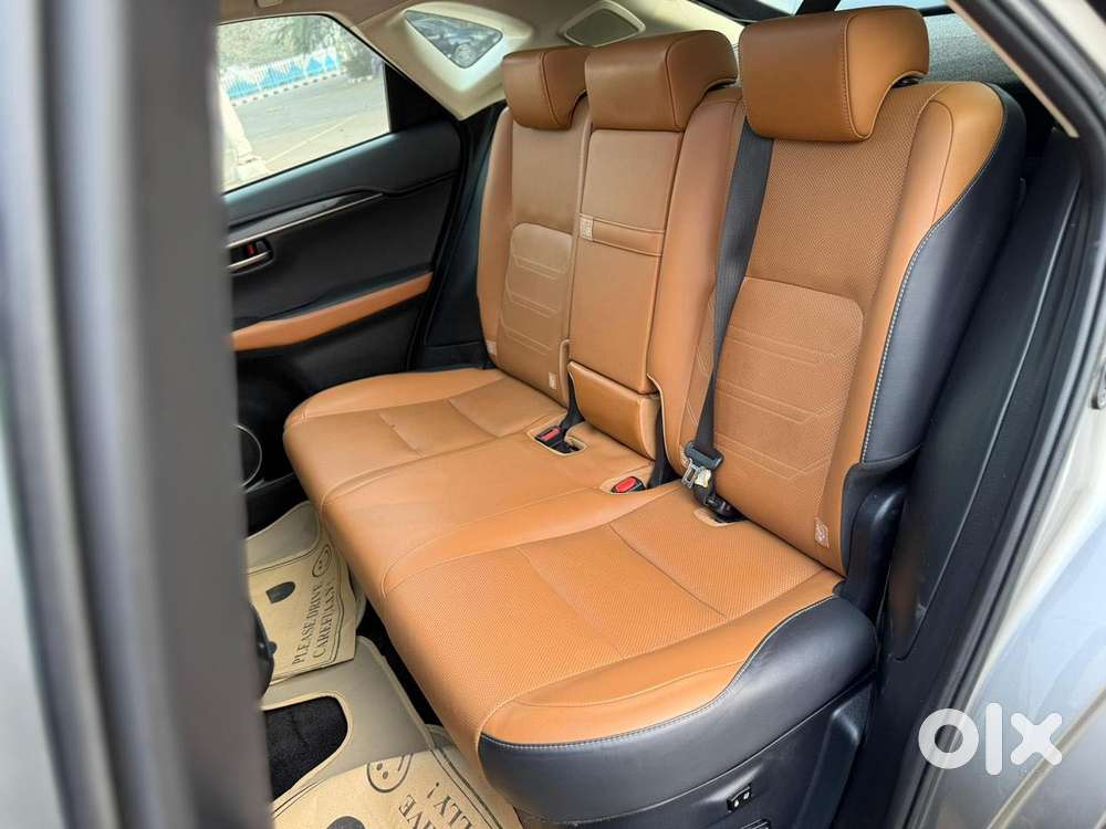 Lexus Nx Lexus-nx-300h-luxury, 2019, Petrol