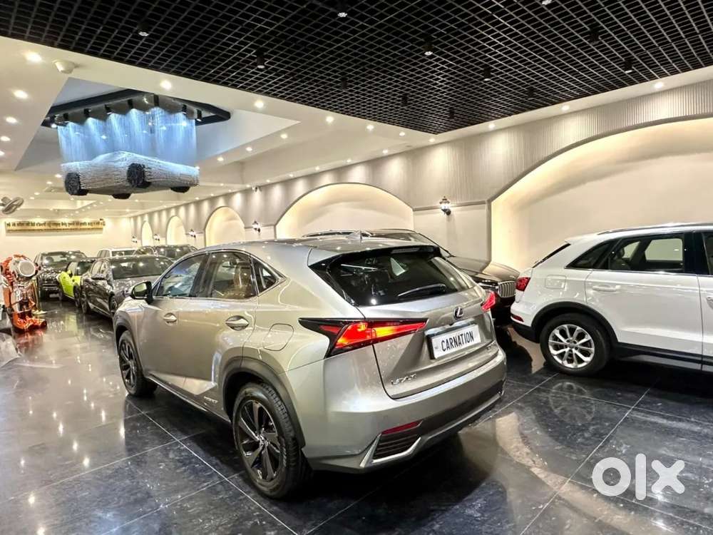 Lexus Nx, 2020, Petrol