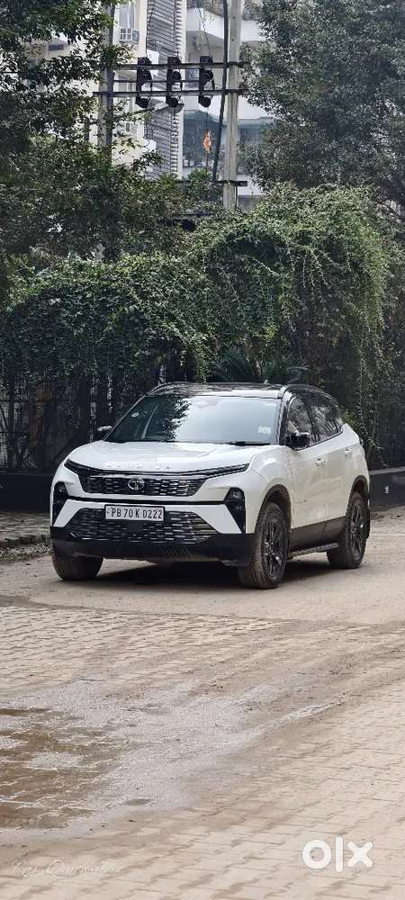 Tata Harrier Automatic 2024 Diesel 35000 Km Driven