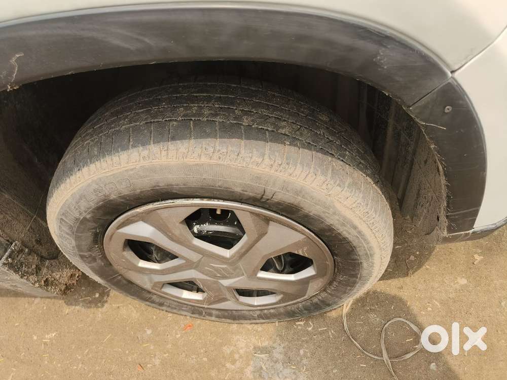 Maruti Suzuki Diesel 2018/19