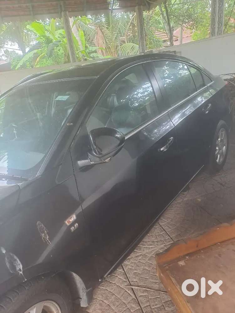 14 Years Black
