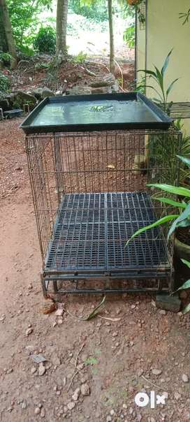 Olx dog cage for sale hotsell