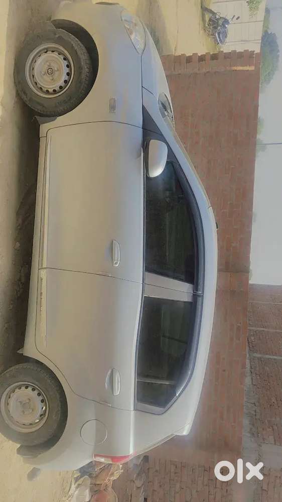 Gaddi Is In Excellent