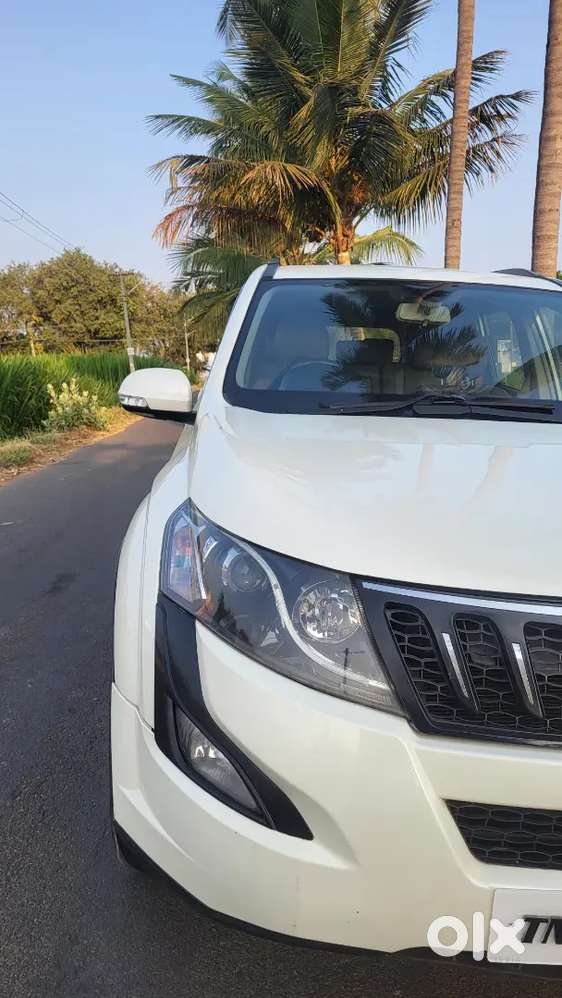 Xuv 500 W8 Mt Fwd