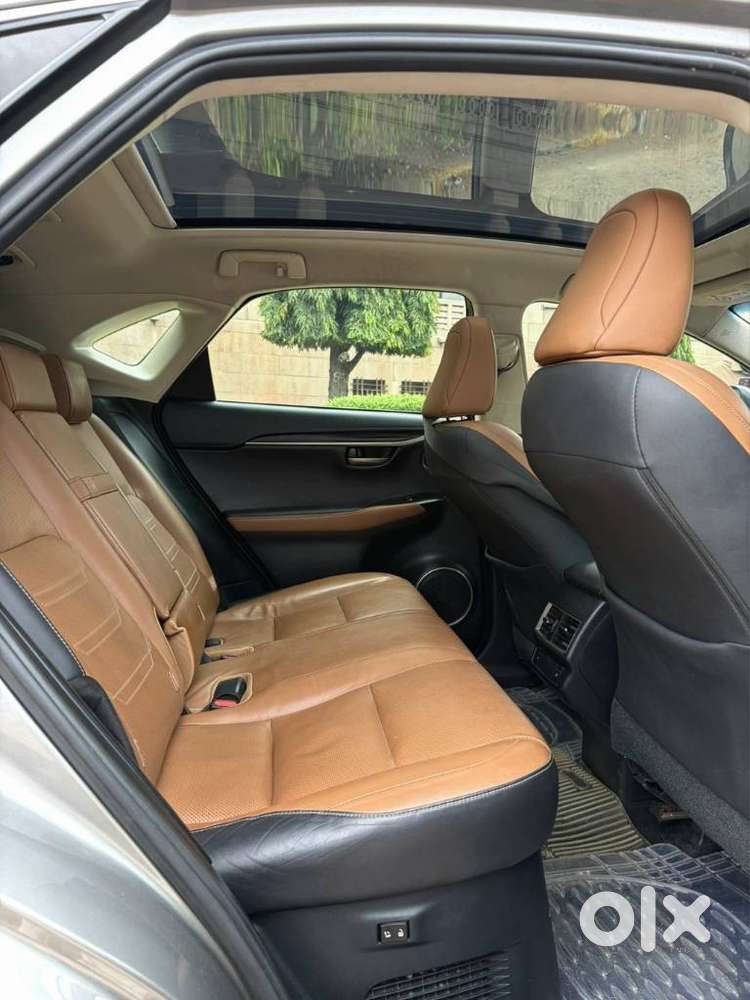Lexus Nx Lexus-nx-300h-luxury, 2019, Petrol