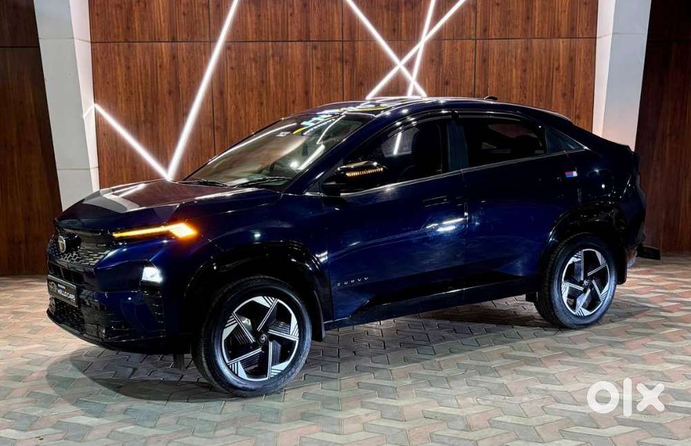 Tata Curvv 1.2 Turbo Petrol, 2025, Petrol