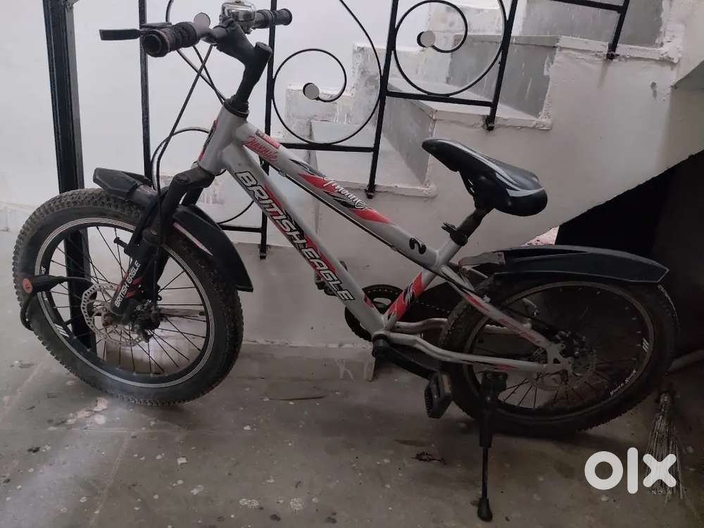 British Eagle Cycle Logo British Eagle Juvenile 20 Single Speed