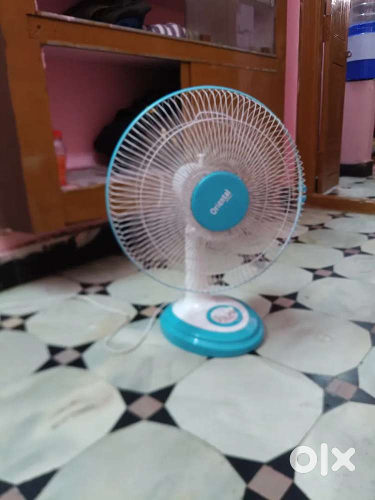 Fan  Oriental