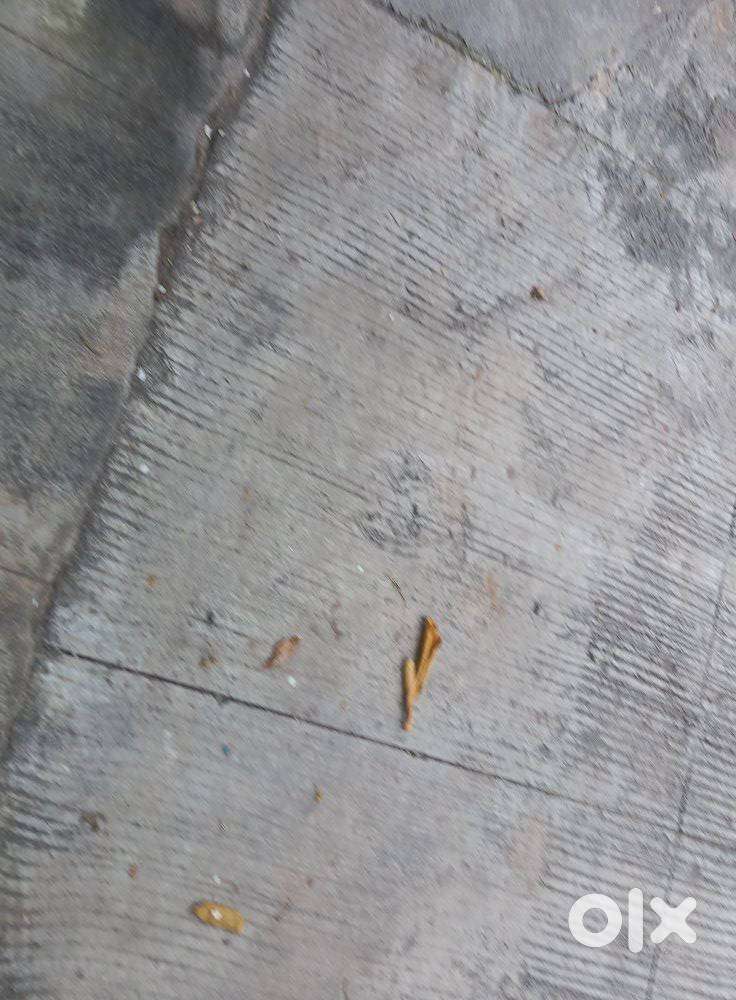 Maruti Suzuki Ciaz Zdi(o), 2015, Diesel