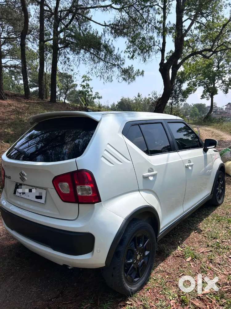 Maruti Suzuki Ignis 2019 Alpha Variant