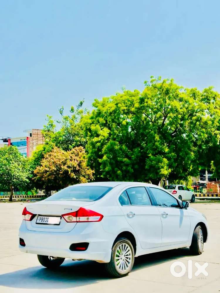 Maruti Suzuki Ciaz Zdi+2017