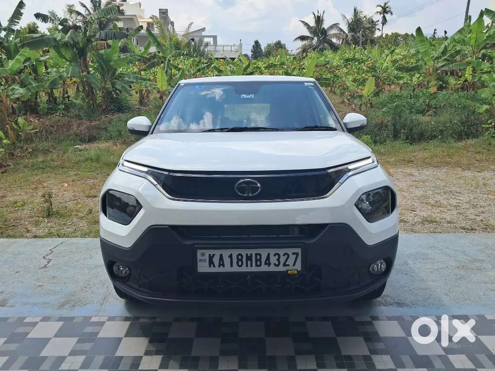 Accomplish Pluch Top 2 Very Ant Bat An Start