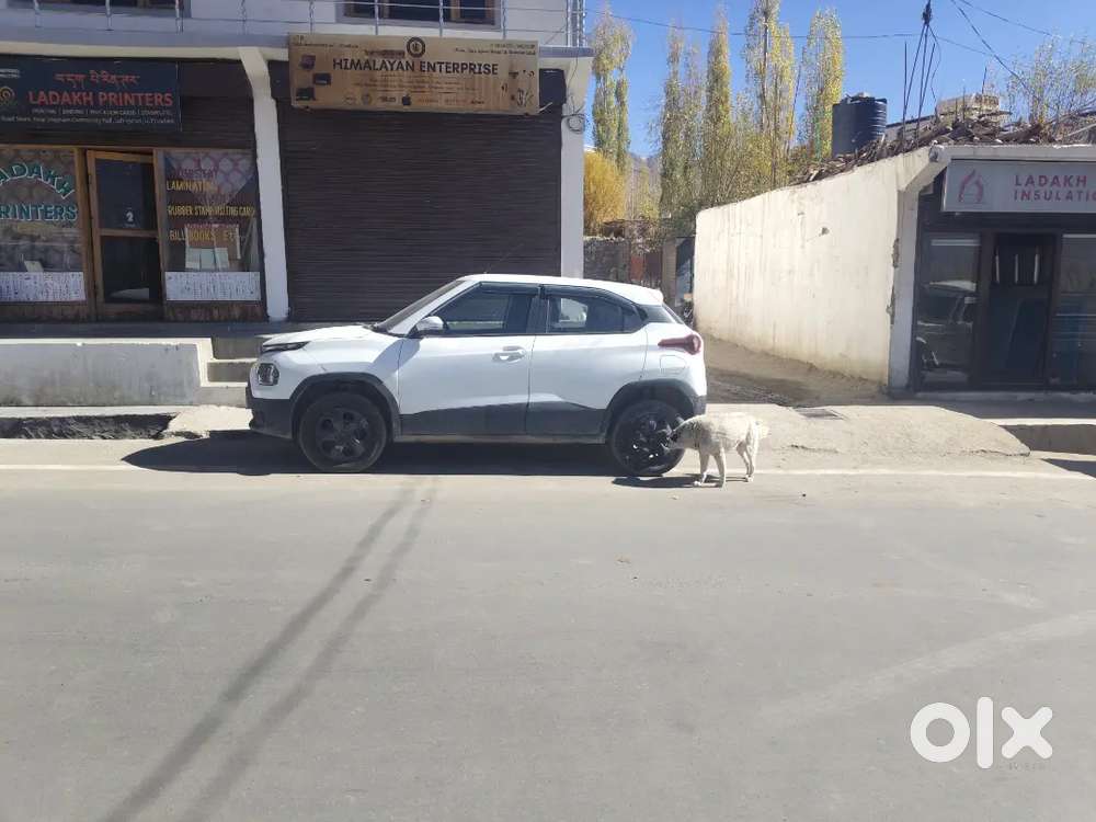 Tata Punch 2022 Petrol 32500 Km Driven