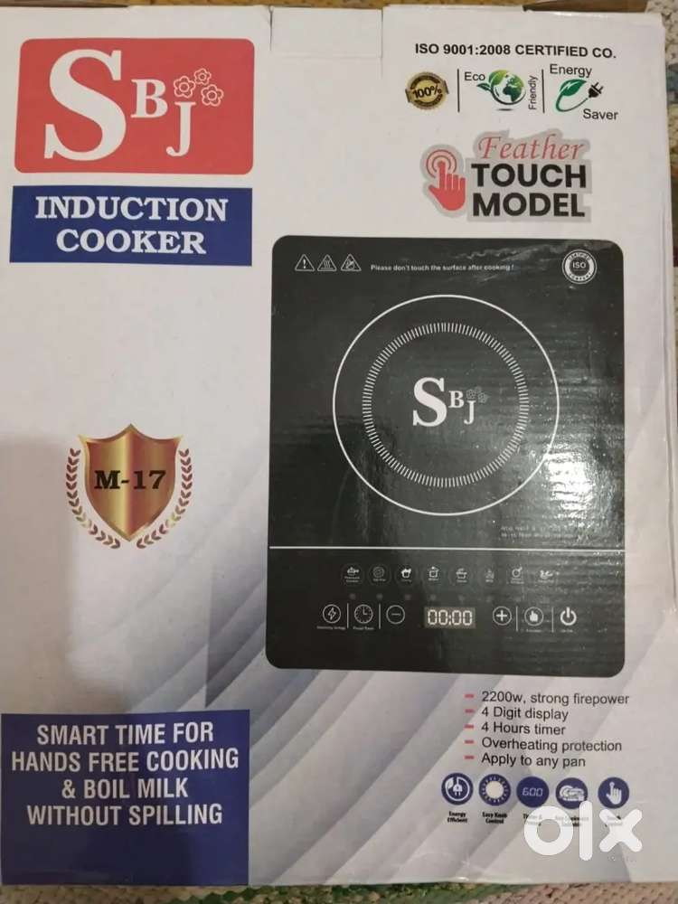 Induction SBJ m17