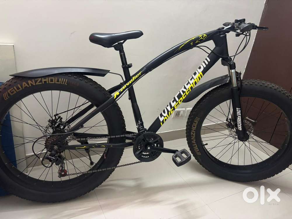 Love Freedom Fat Tyre Bicycle 21speed Fatbike Big Power Electric