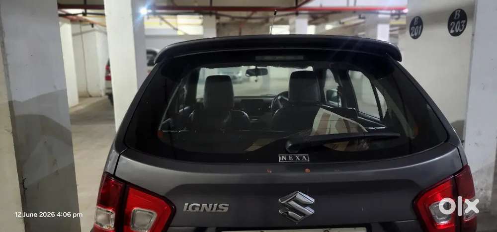 Ignis Amt 2018