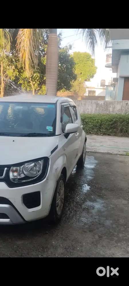 Maruti Suzuki Ignis 2024 Petrol 13000 Km Driven