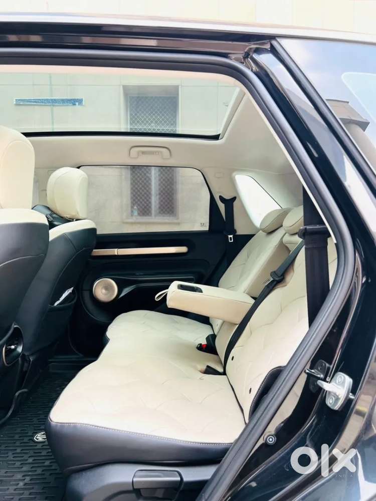 Mg Windsor Ev, 2025, Electric