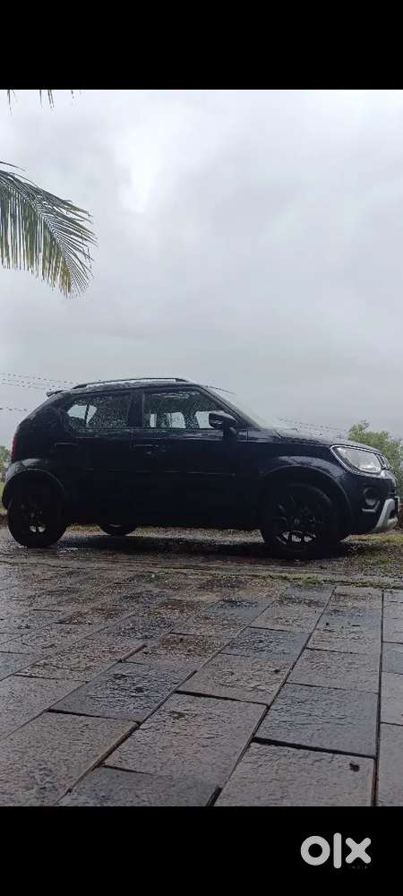 Maruti Suzuki Ignis 2025 Petrol 7500 Km Driven