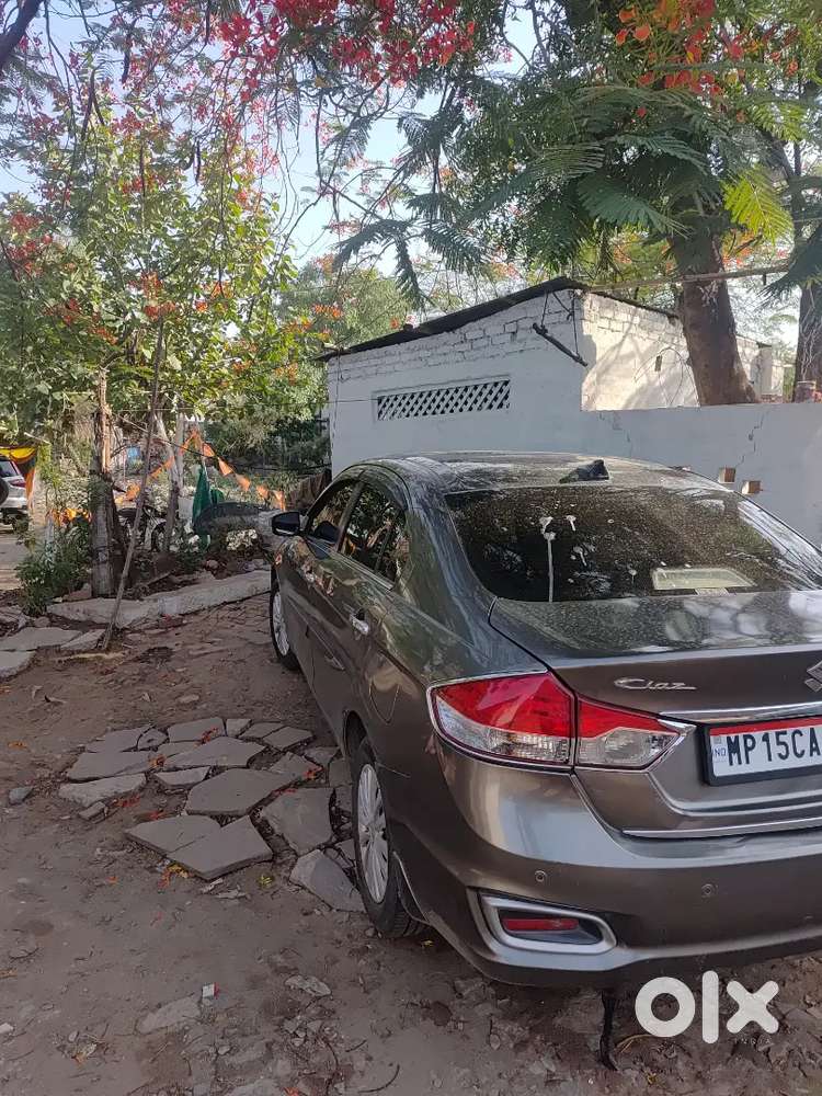 Maruti Suzuki Ciaz Diesel 2019