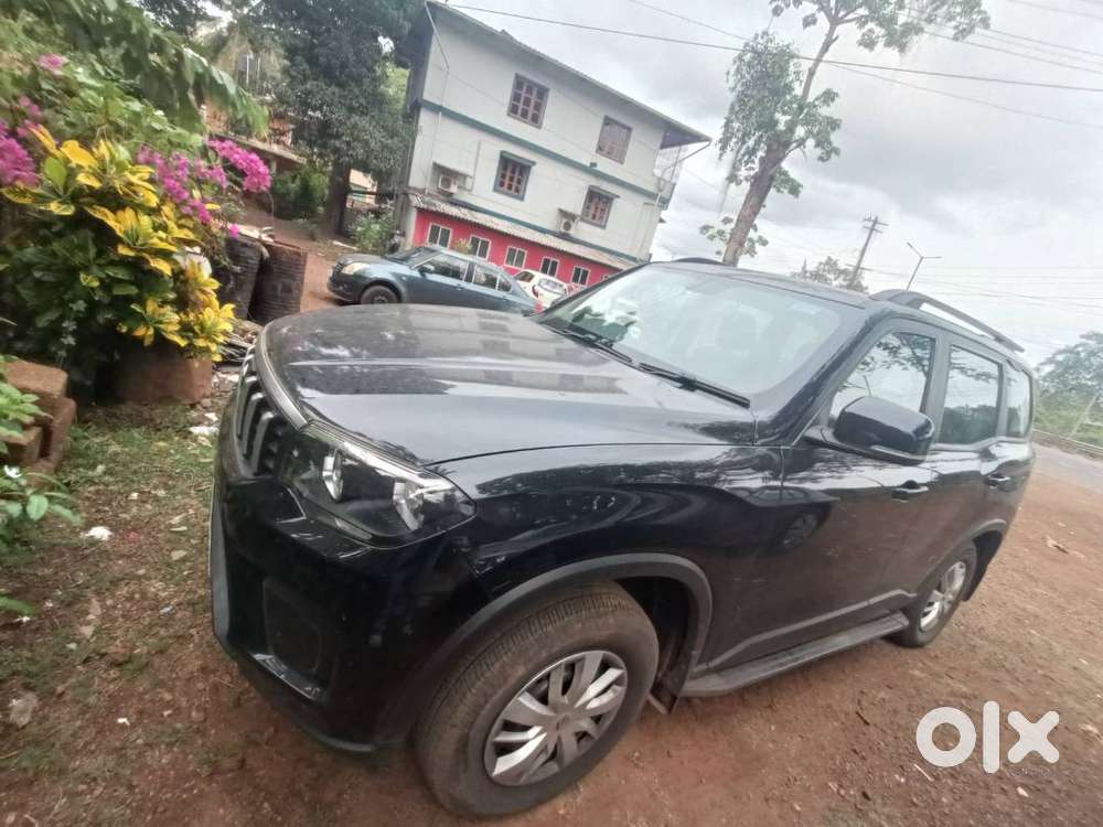 Napolean Black New Scorpio N