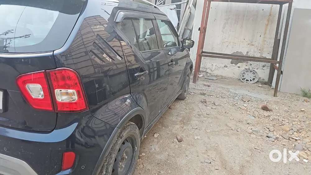 Maruti Suzuki Ignis 2023 Car