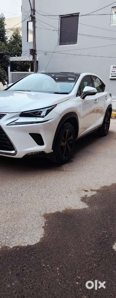 Lexus Nx Lexus-nx-300h-luxury, 2018, Petrol