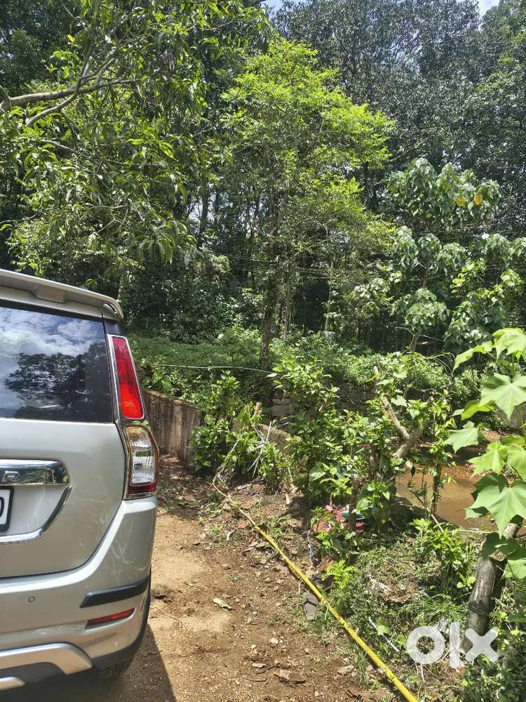 Maruti Suzuki Wagon R Zxi 2025 Automatic
