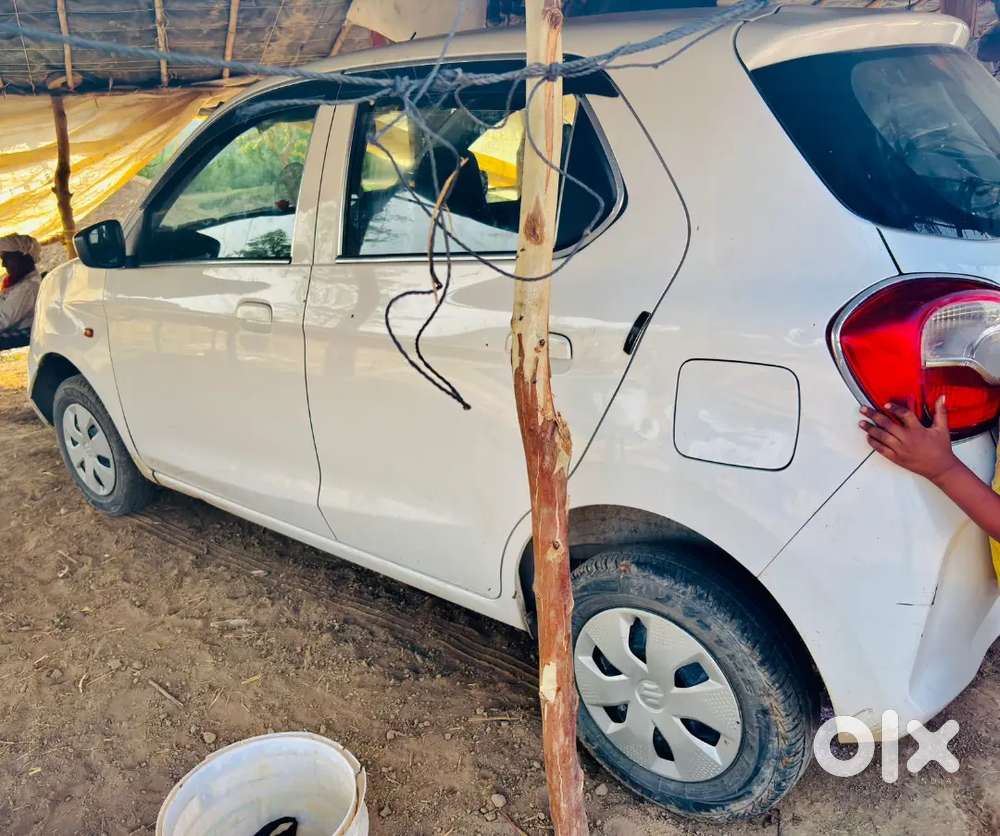 Maruti Suzuki Alto K10 2003 Petrol Well Maintained