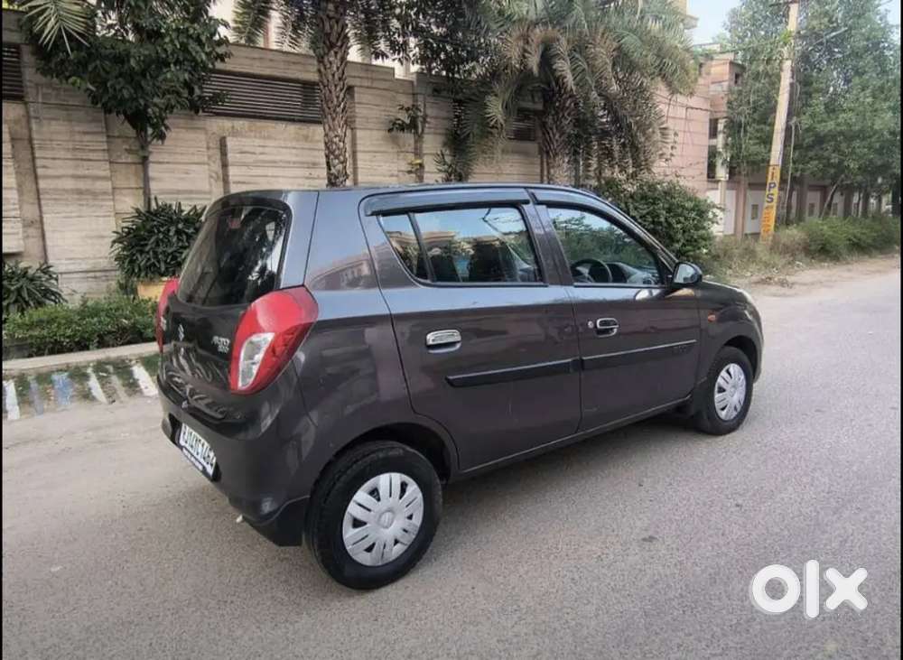 Alto 800 Model 2022